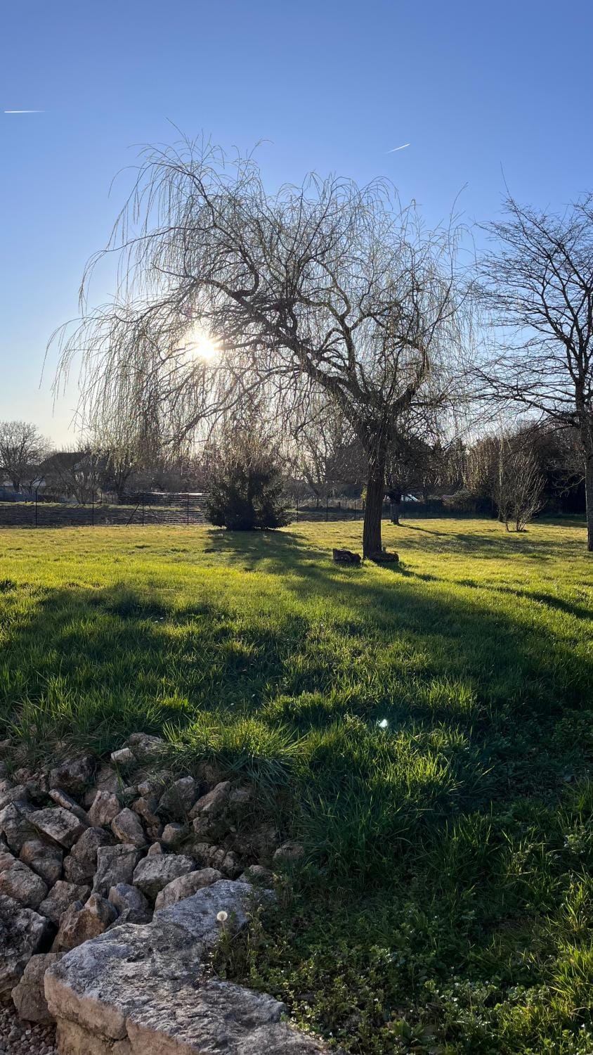 Spring, Natural landscape, Garden, Garden view