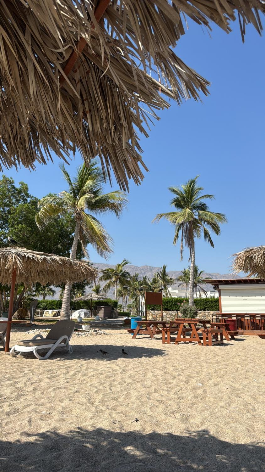 Beach, sunbed