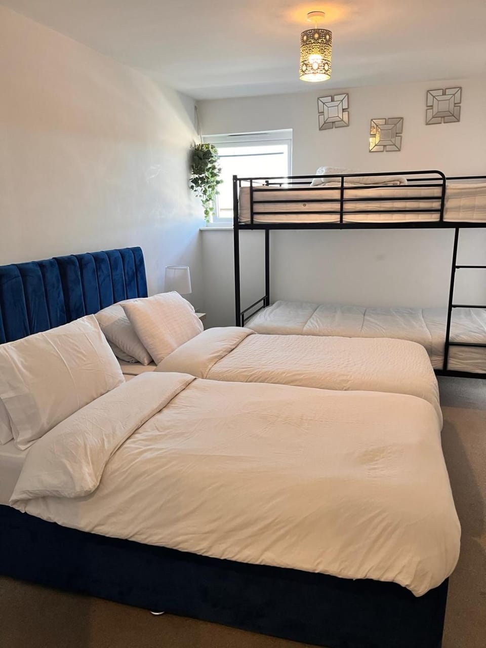 Bed, Photo of the whole room, Bedroom, bunk bed