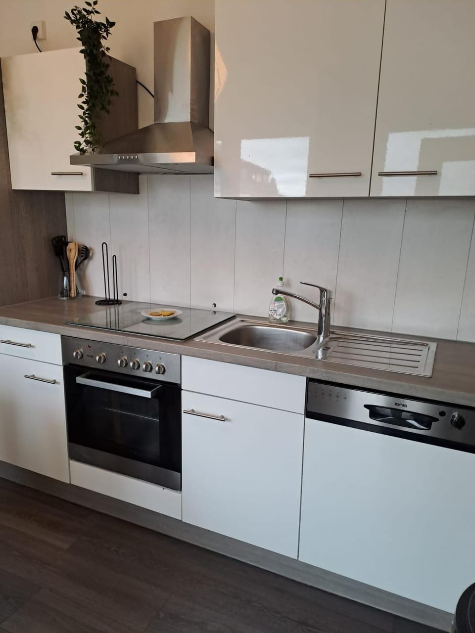 Kitchen or kitchenette, dishwasher, stove