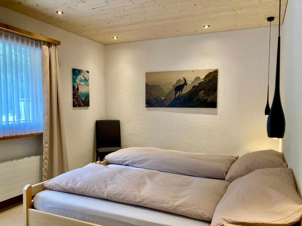 Chasa ARLU Apartment in Canton of Grisons