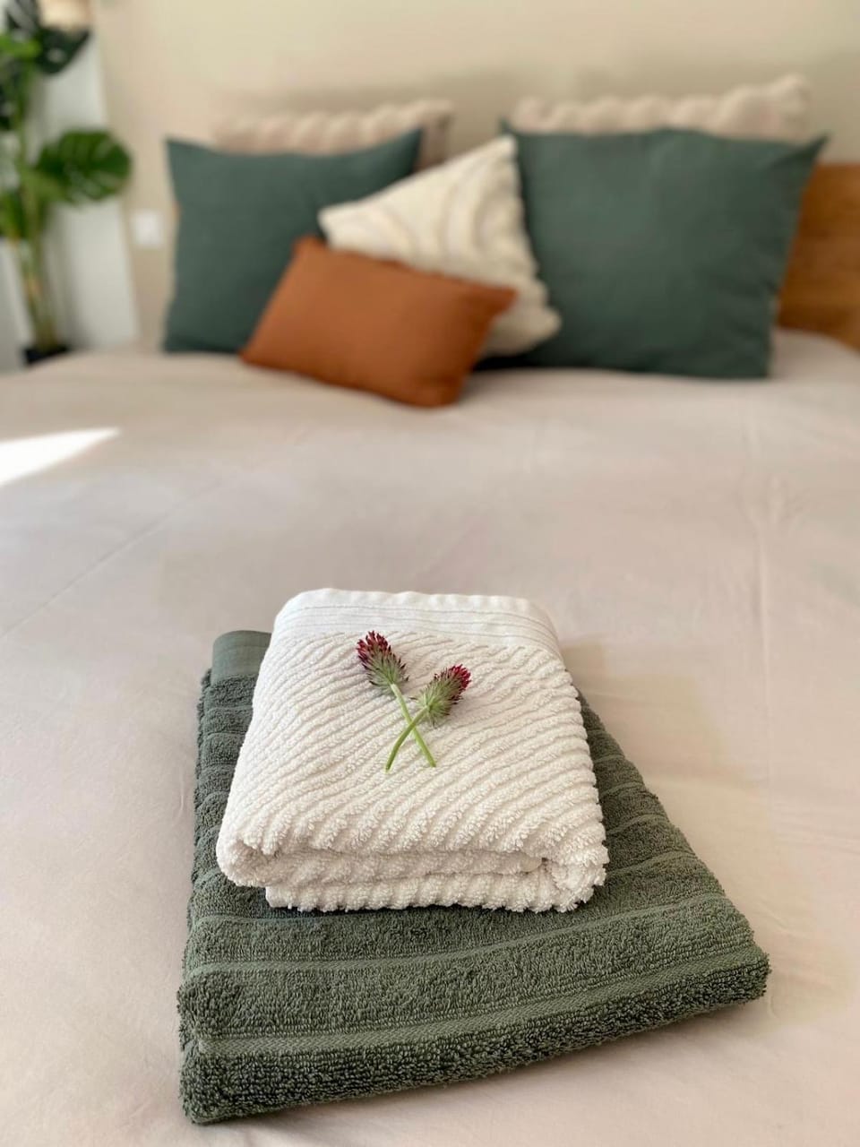 L orée du bois, le studio Bed and Breakfast in Occitanie