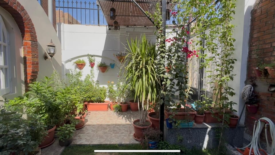 Garden, Garden view