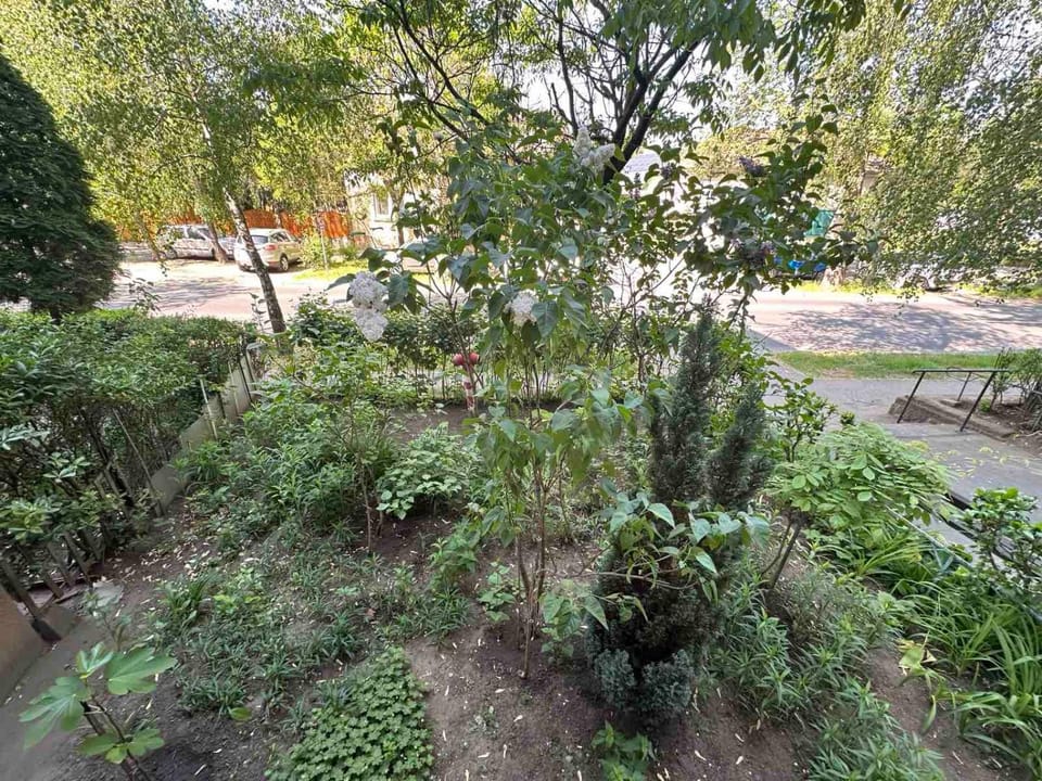 View (from property/room), Balcony/Terrace