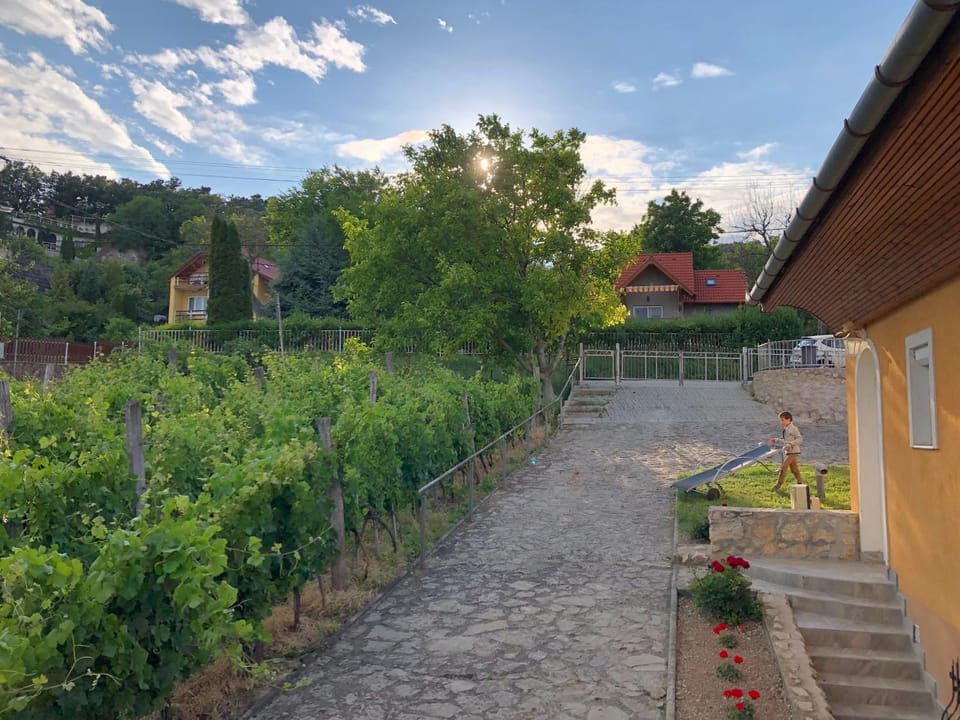 Villa Bellevue House in Hungary