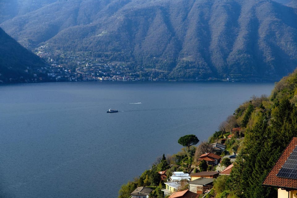 Lake view