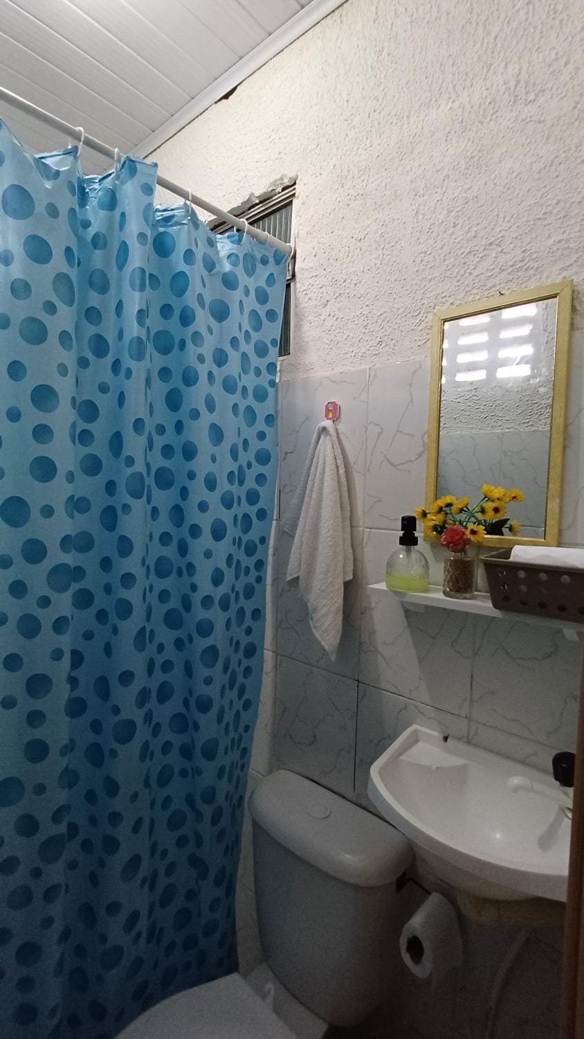 Shower, Toilet, Bathroom, towels