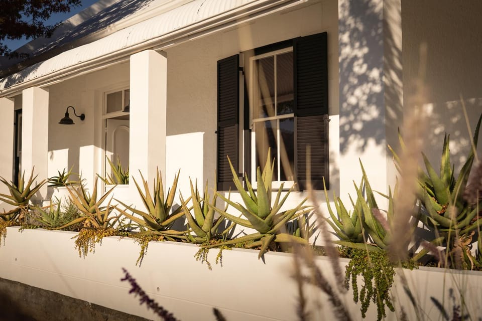 Property building, Garden view
