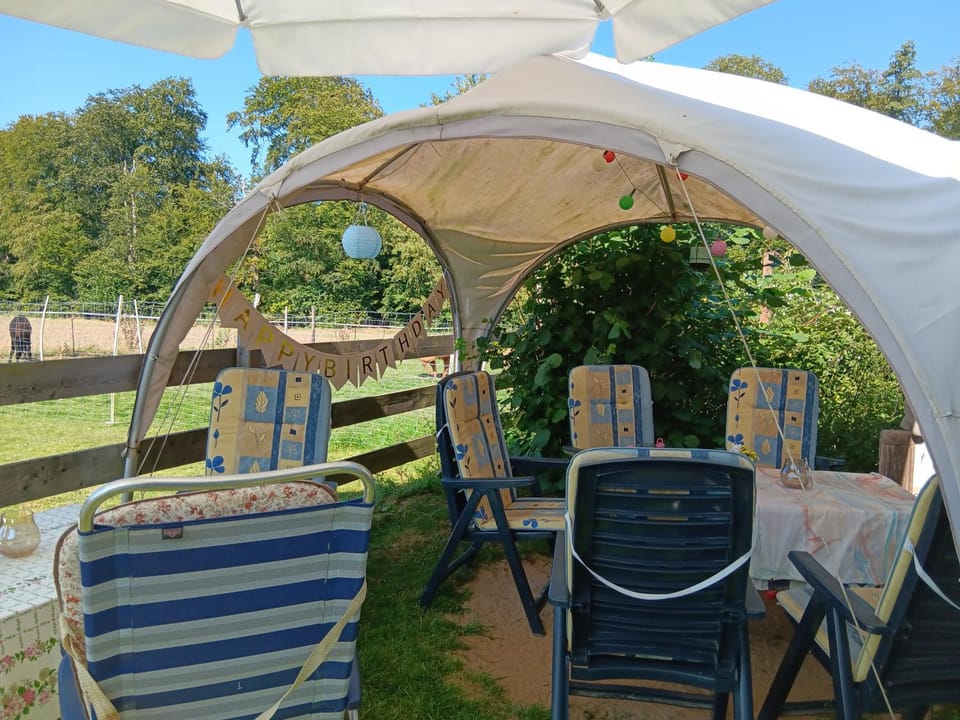 Garden, Garden view, sunbed