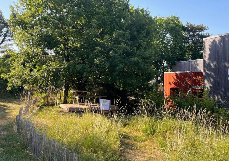 Natural landscape, Garden, View (from property/room)