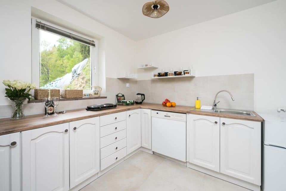 Kitchen or kitchenette, dishwasher, stove