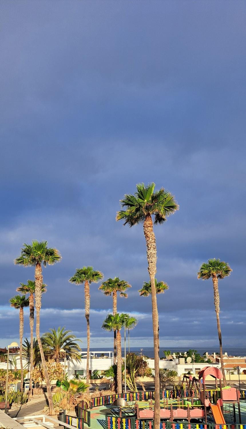 Natural landscape