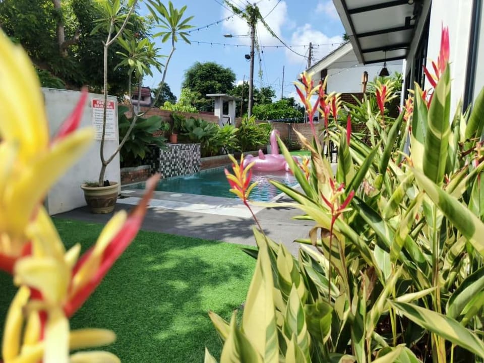 Day, Garden, Pool view