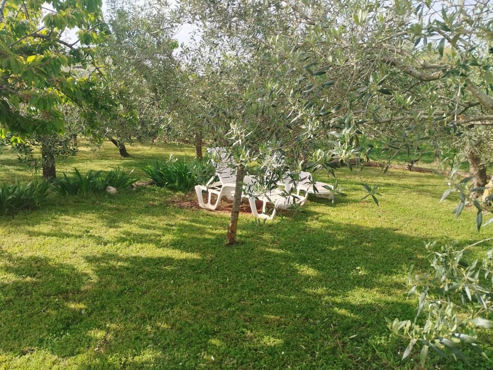 Holiday house House in Medulin