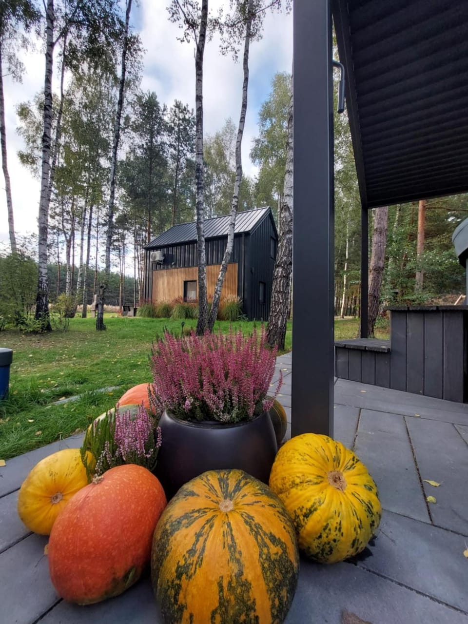 Property building, Spring, Day, Garden, Garden view