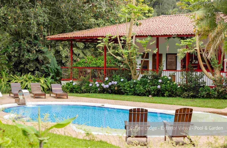 Property building, Garden, Garden view, Pool view, Swimming pool, sunbed