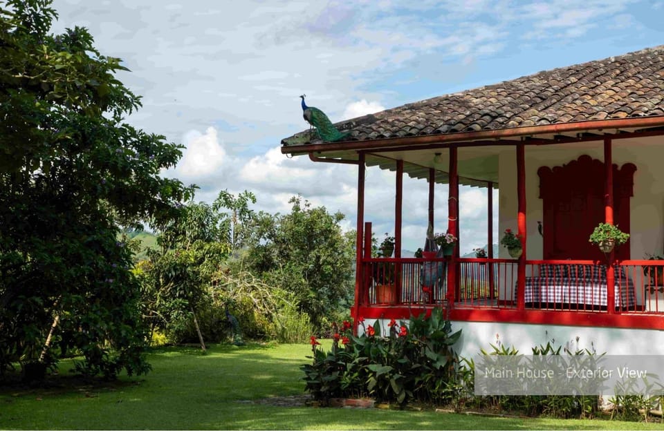 Property building, Natural landscape, Garden view