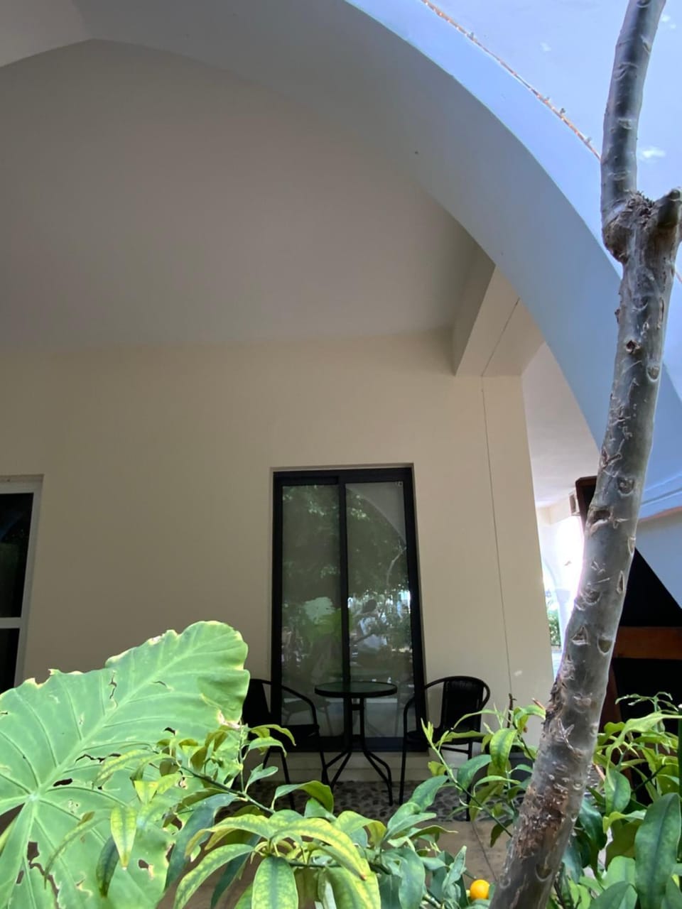 View (from property/room)