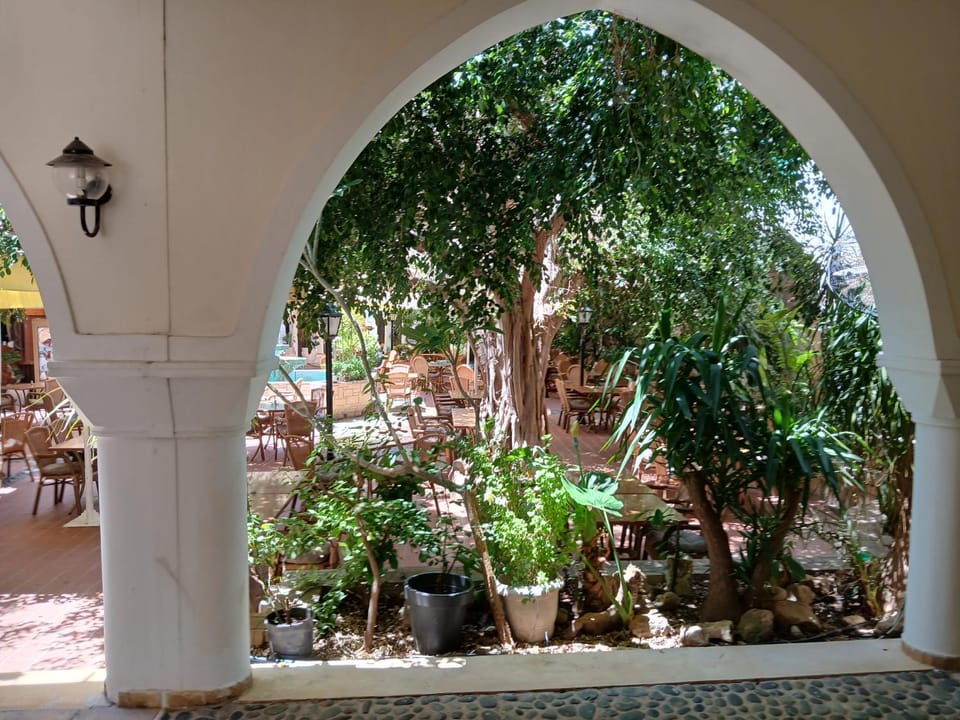 View (from property/room)
