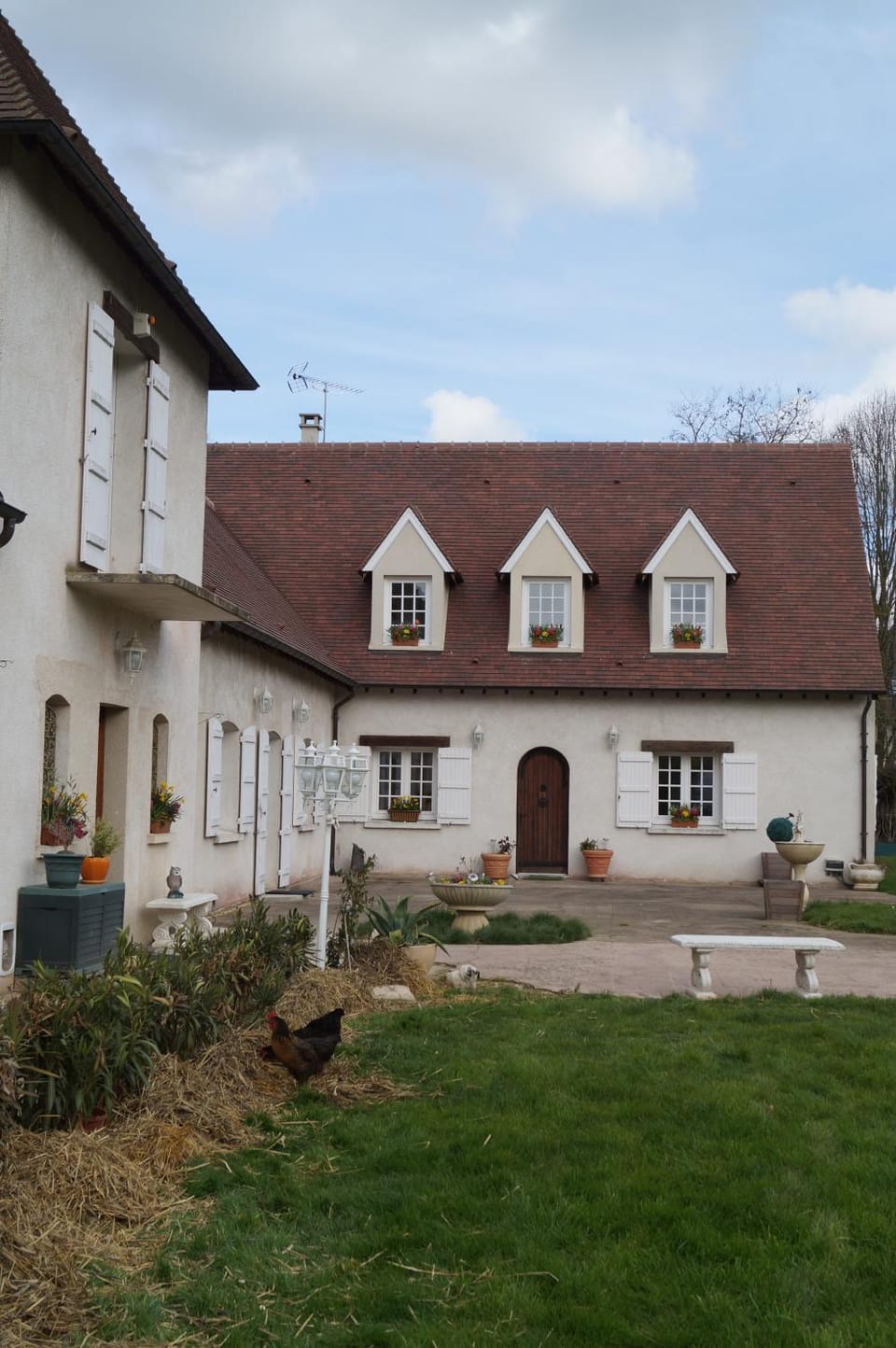 Property building