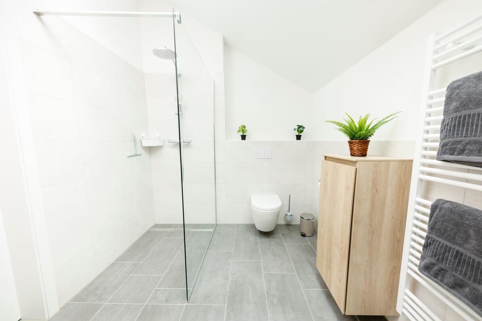 Shower, Toilet, Sauna, Bathroom, Decorative detail, hair dryier