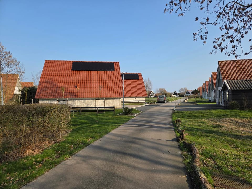 Property building, Spring, Day, Neighbourhood, Street view