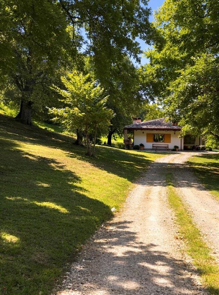 Property building, Spring, Natural landscape, Garden view
