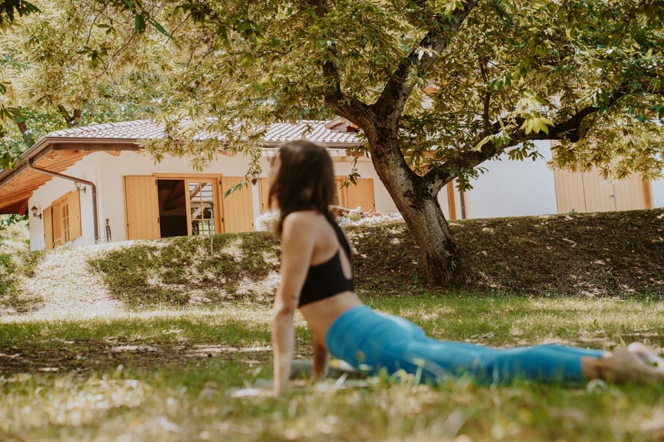 Spring, Day, Natural landscape, Summer, Garden view