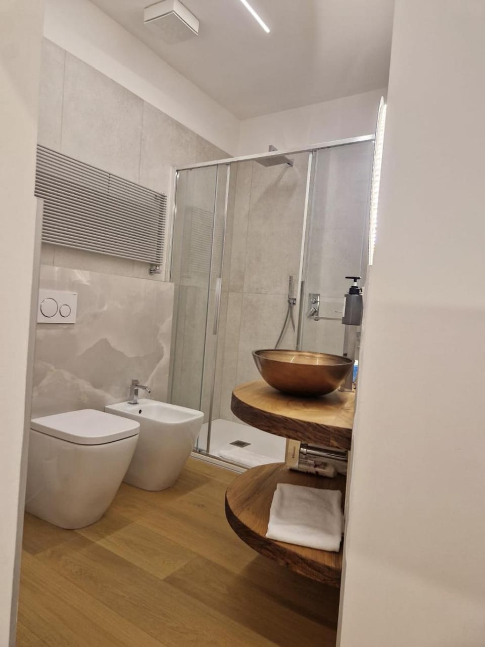Shower, Toilet, bidet, towels