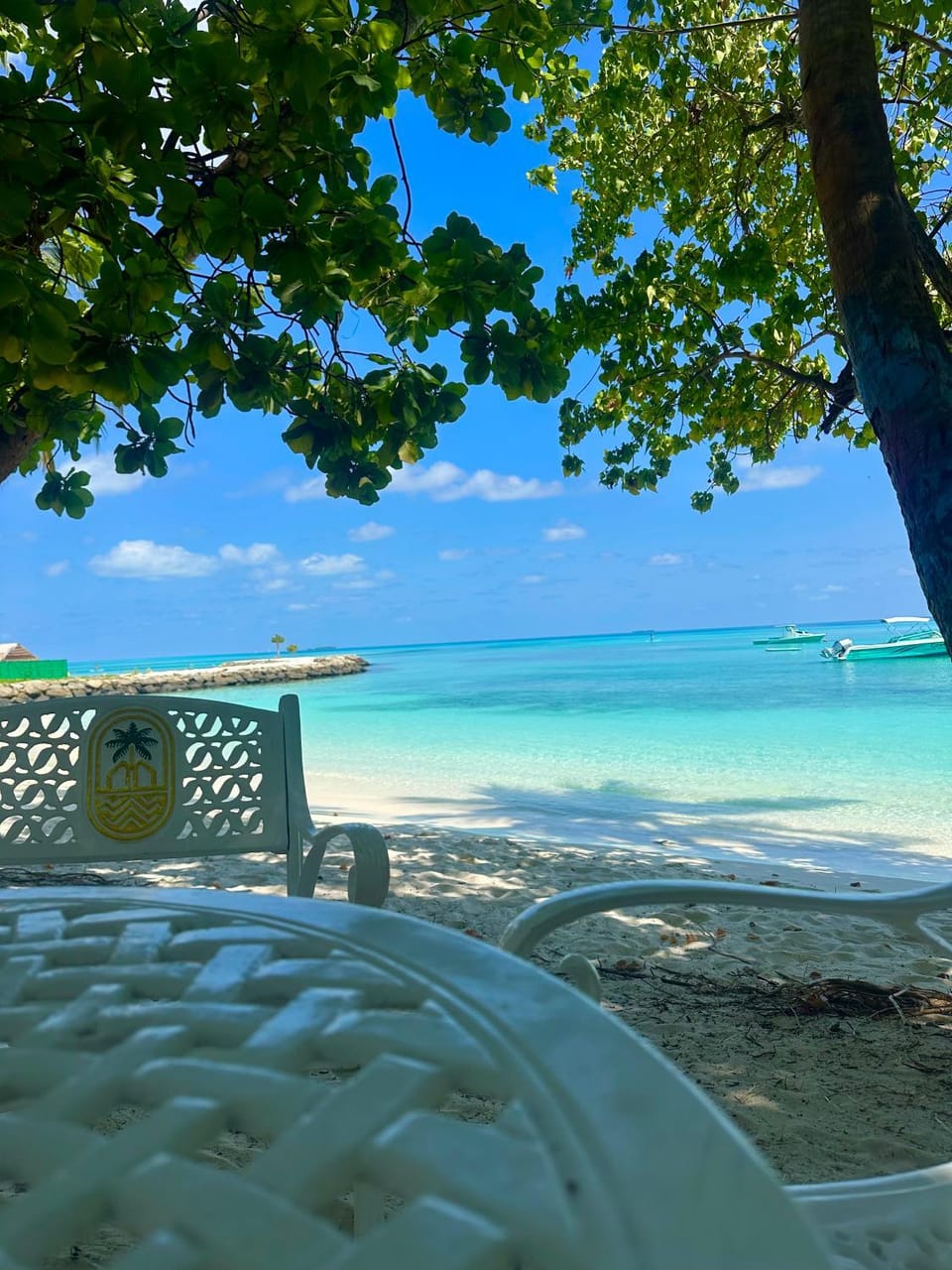 Natural landscape, Seating area, Beach