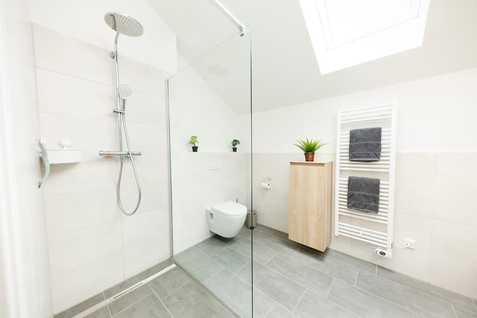 Shower, Toilet, Bathroom, Decorative detail