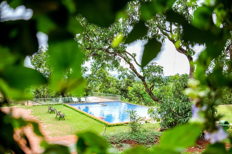 Natural landscape, Garden, Garden view, Swimming pool