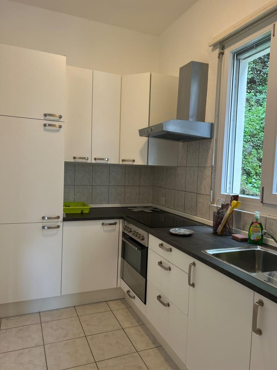La Maison du Lac Apartment in Lugano