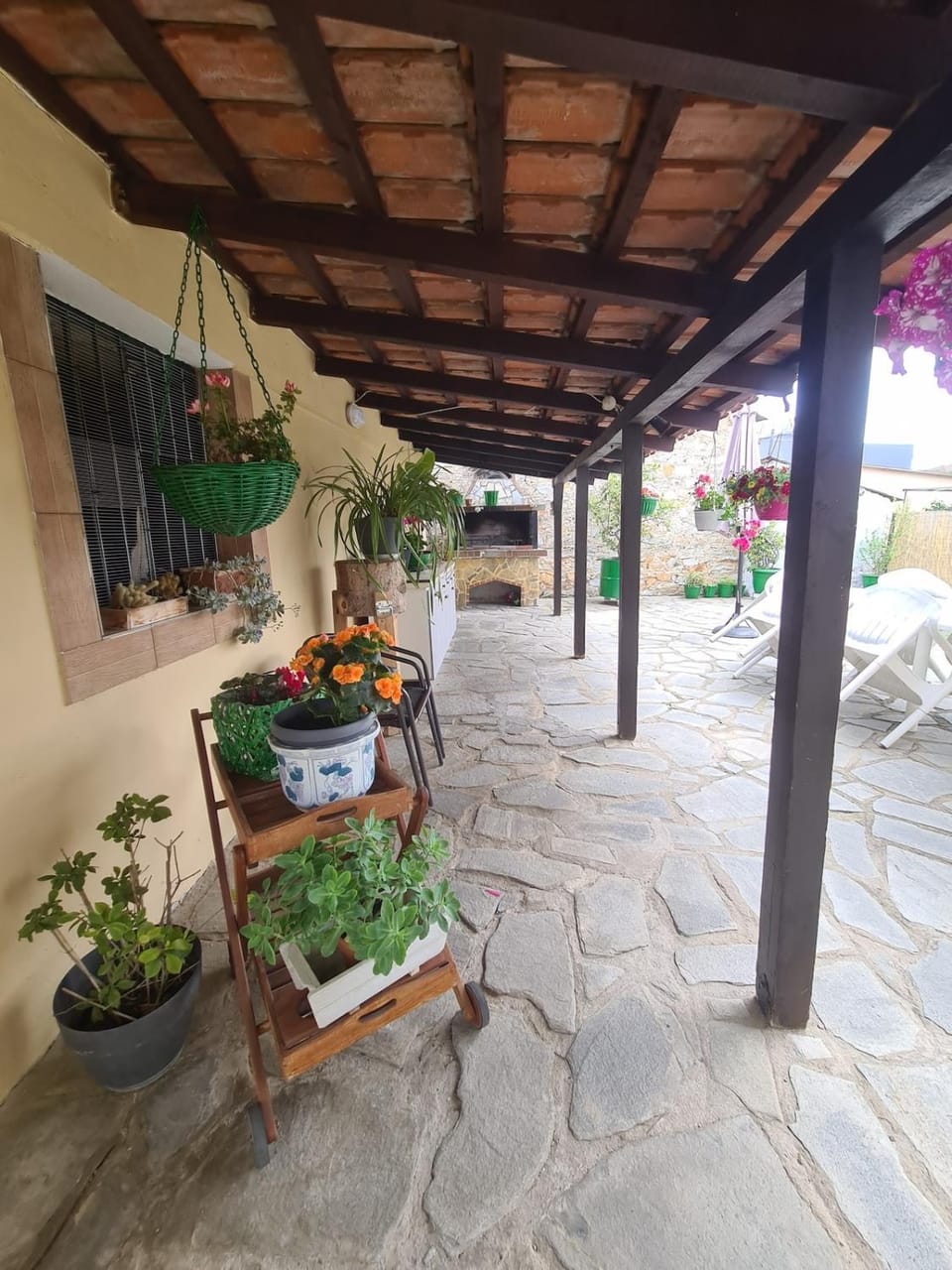 Patio, Garden, Garden view
