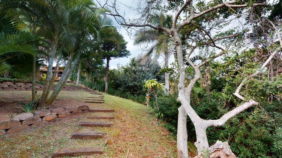 Natural landscape