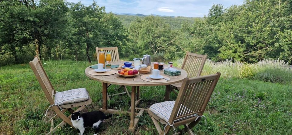 Chambre confortable à la campagne Bed and Breakfast in Occitanie