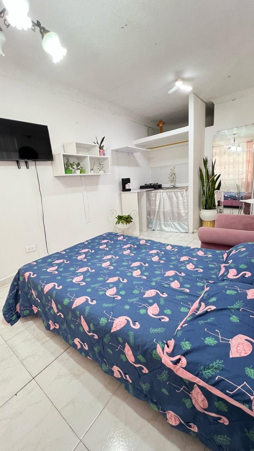 Intimate, comfortable and pleasant Apartment in Cali