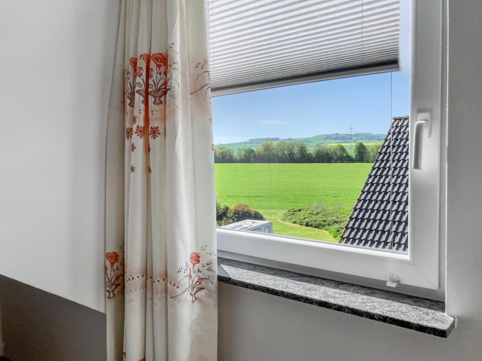 Day, Natural landscape, Garden, Garden view