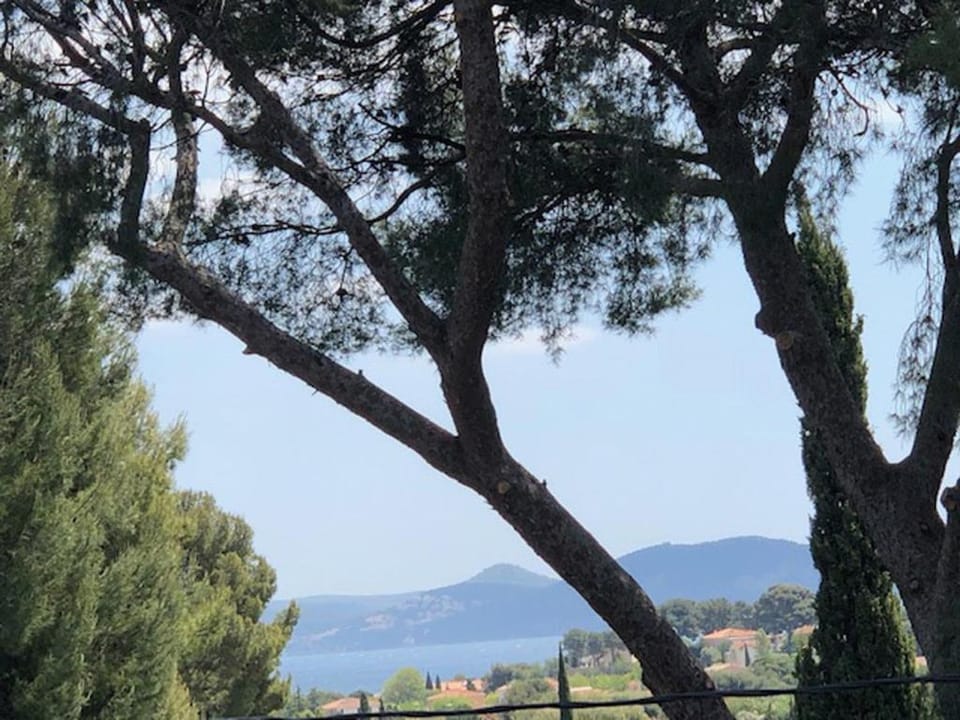 chambre d'hôtes villa tigre LA CIOTAT Quartier résidentiel Bed and Breakfast in La Ciotat