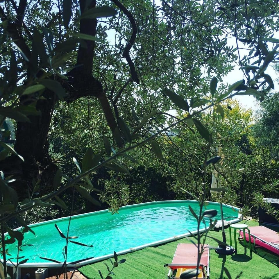 Natural landscape, Pool view, Swimming pool