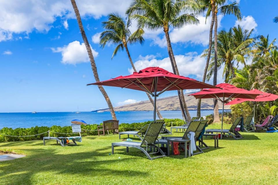 Garden, Sea view, sunbed