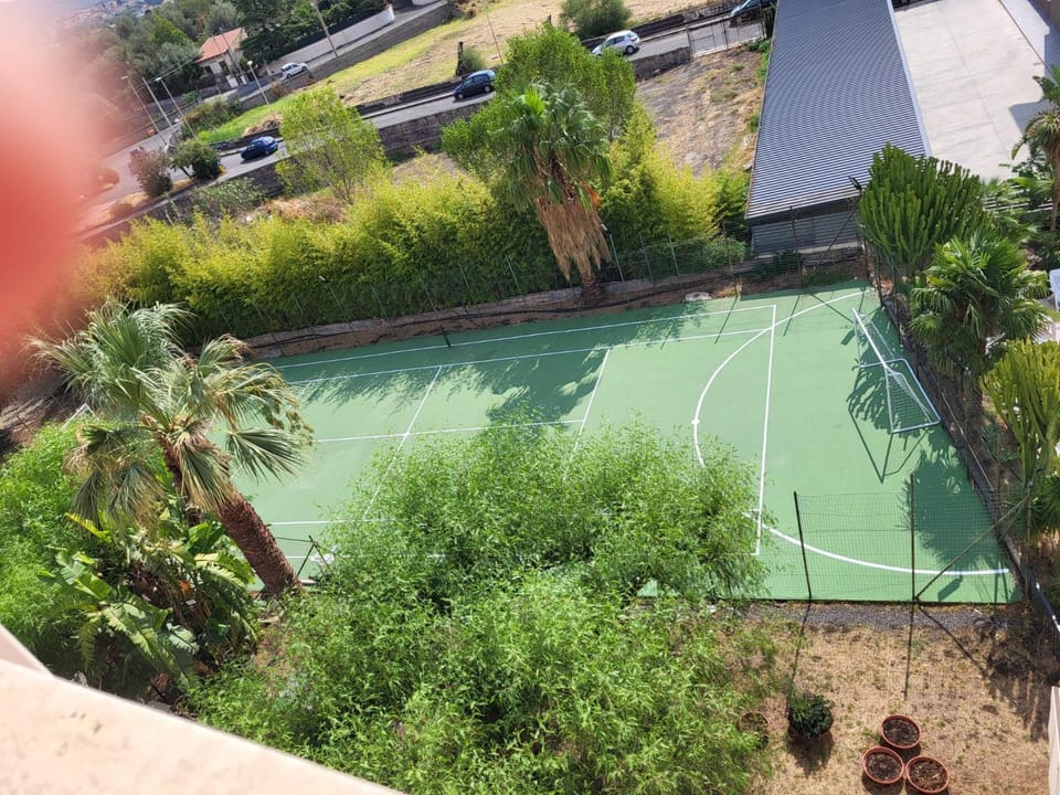 Tennis court, Tennis court