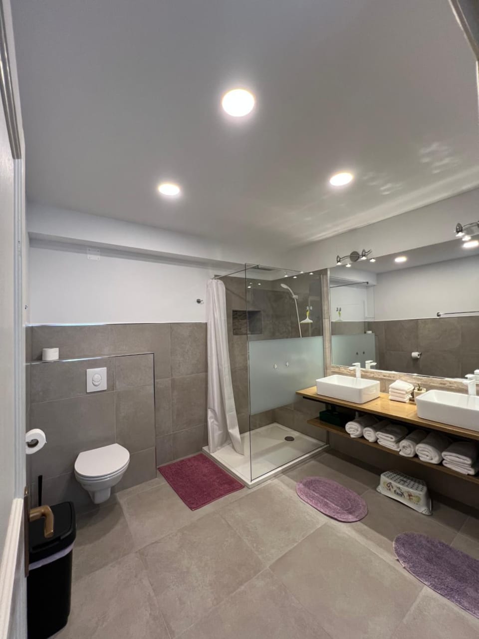 Shower, Toilet, Bathroom, towels