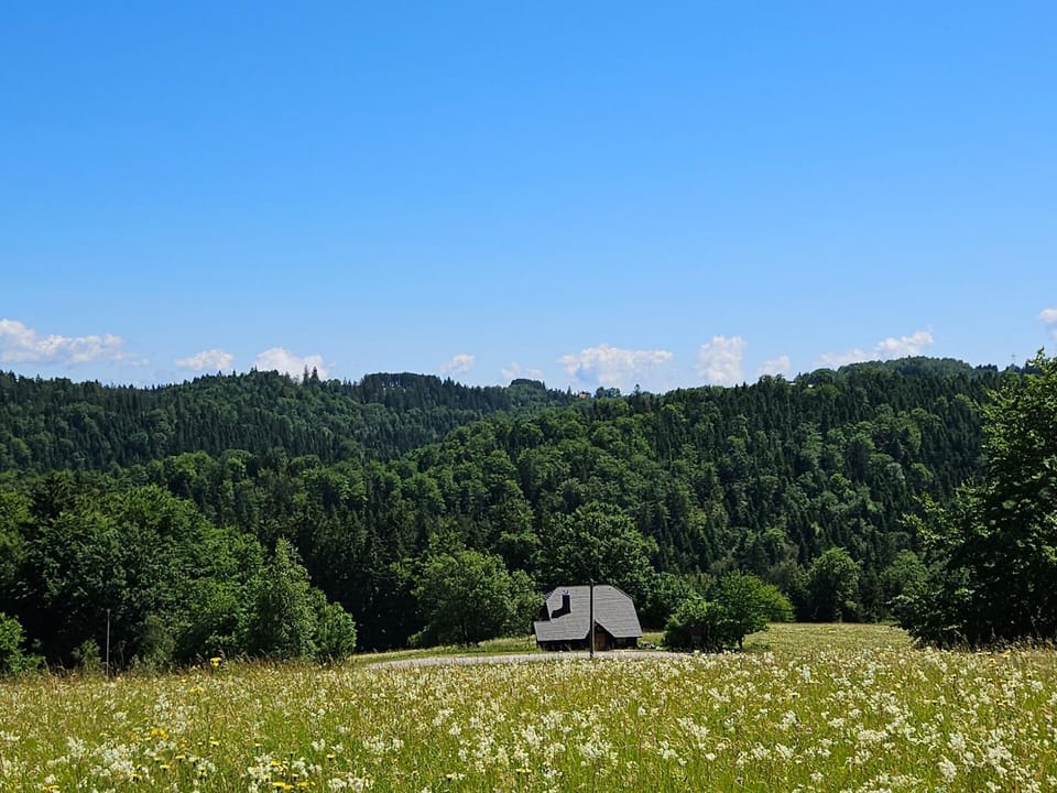 Planinska kuća Nemanja Chalet in Zlatibor District, Serbia
