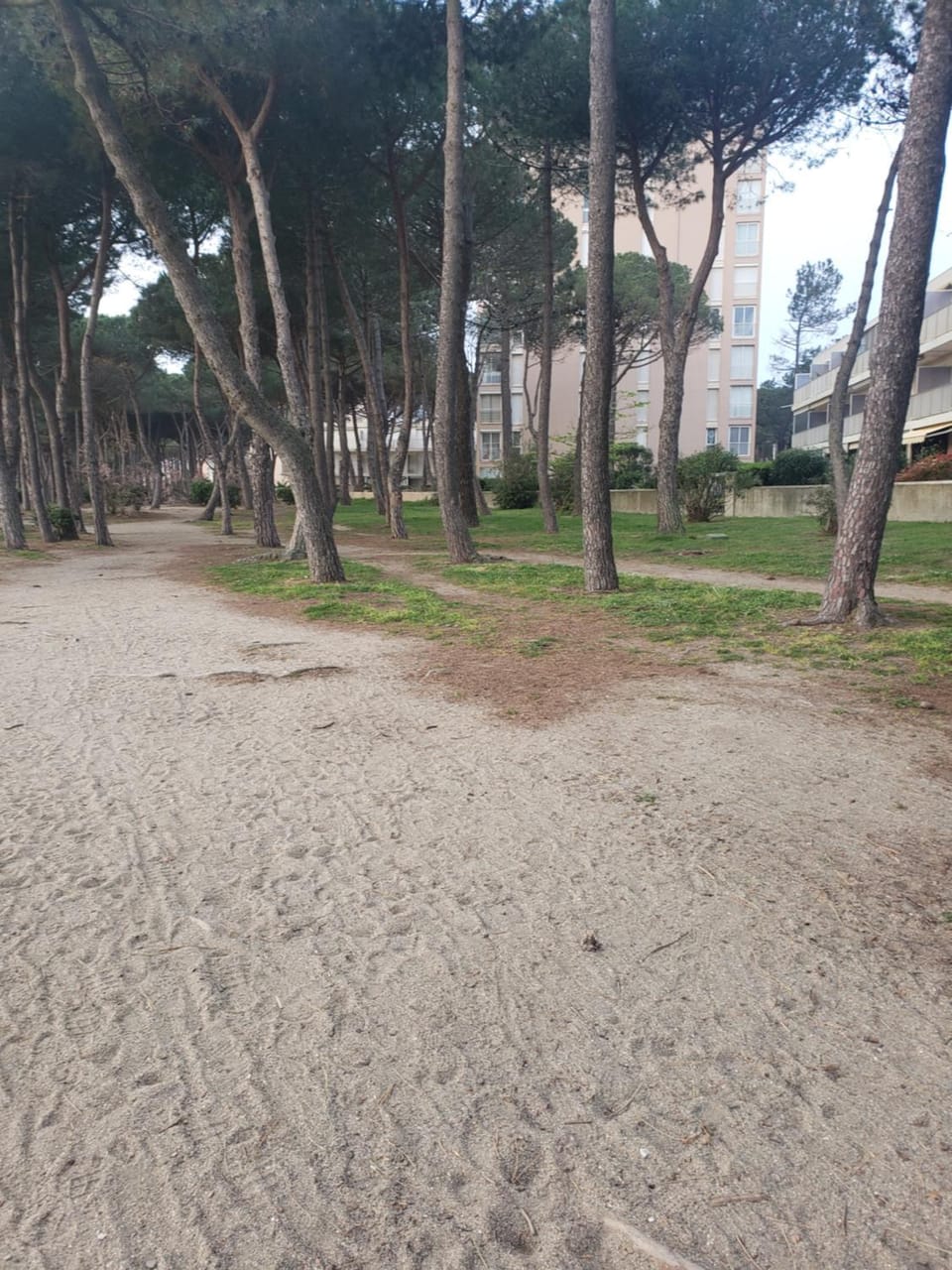 Natural landscape