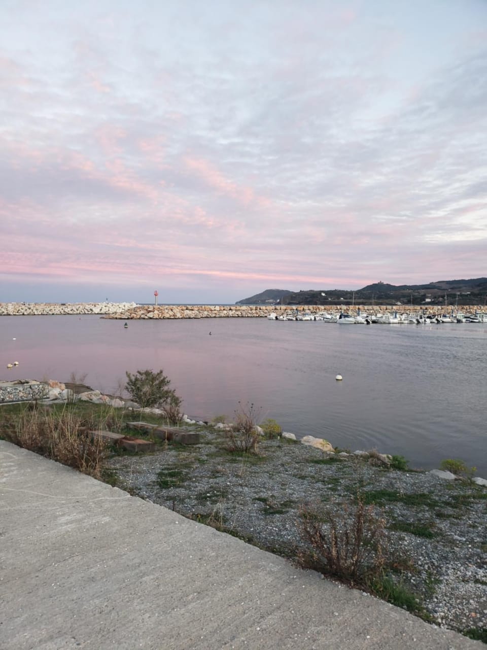 Appartement T2 100 m de la mer Apartment in Argeles-sur-Mer