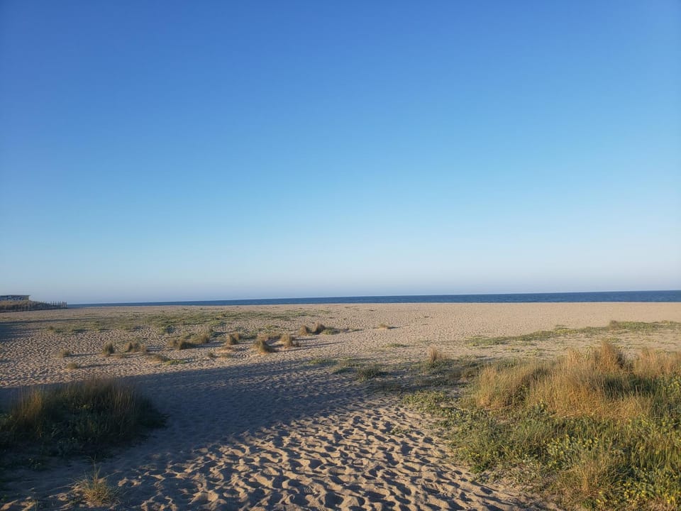 Natural landscape