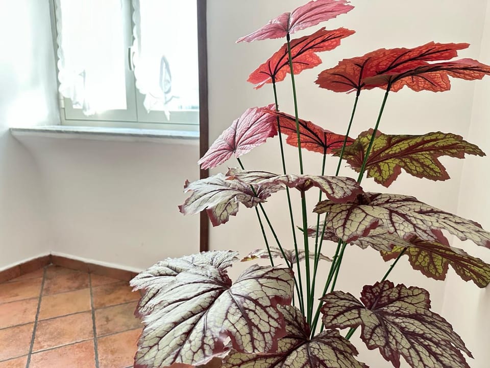 La Casa di Linda Apartment in Naples