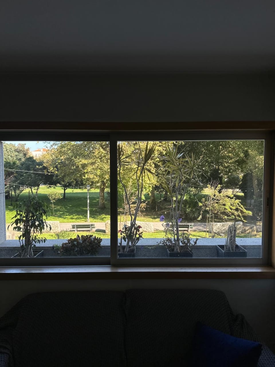 Garden view