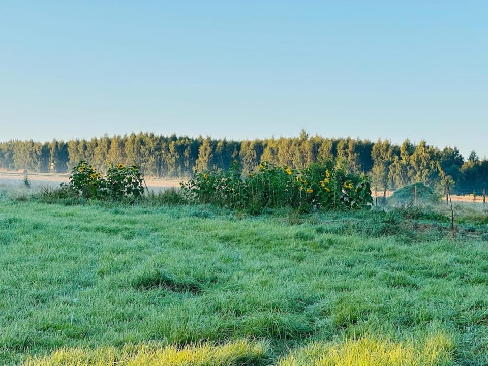 Na końcu dróżki Farm Stay in Lower Silesian Voivodeship